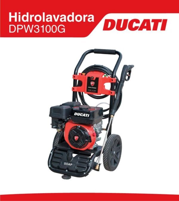 HIDROLAVADORA DPW3100G