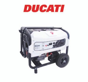 Planta Eléctrica DGR8000ES